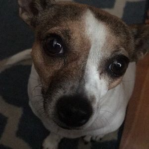 Meet your Posher, Sandi